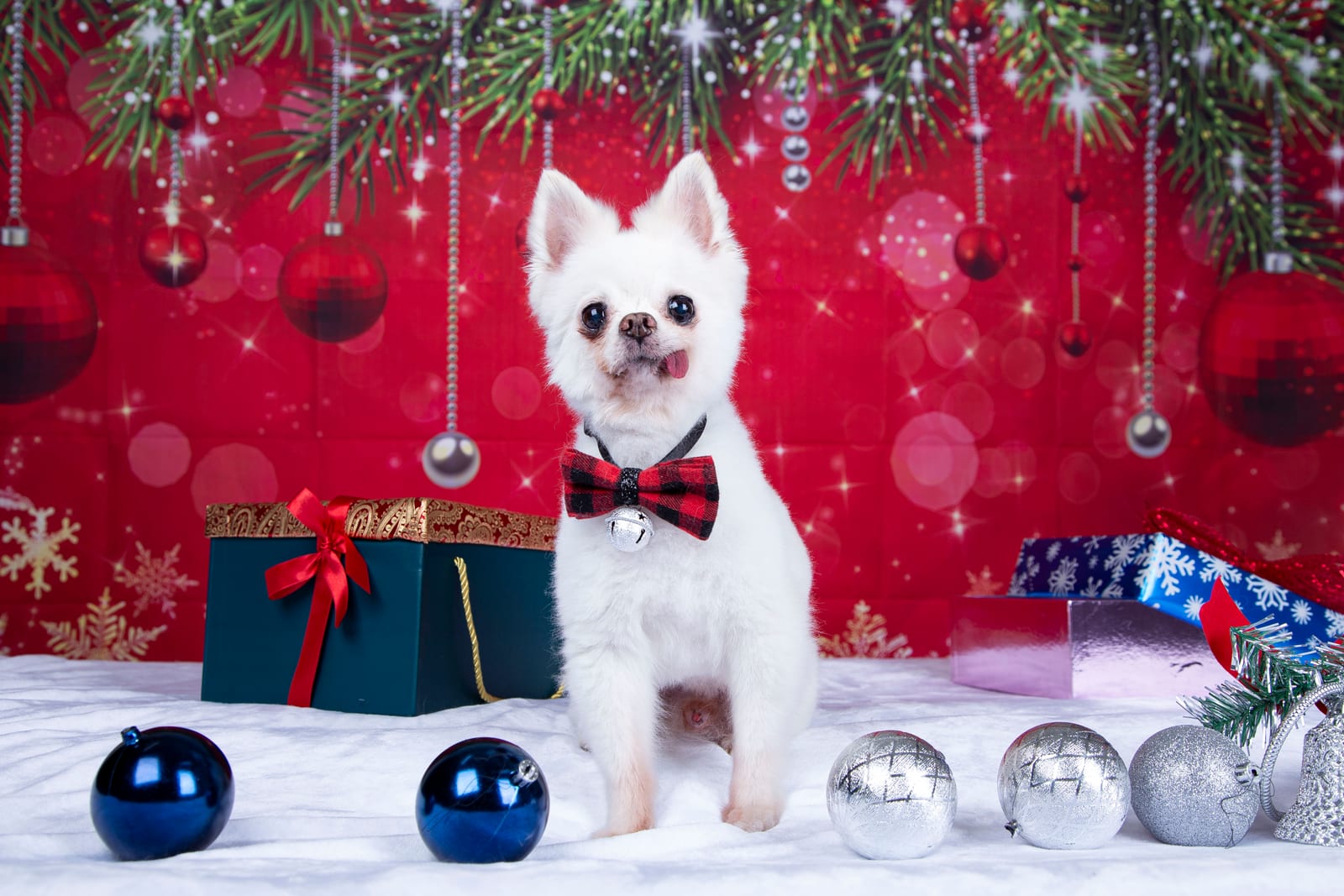 Christmas