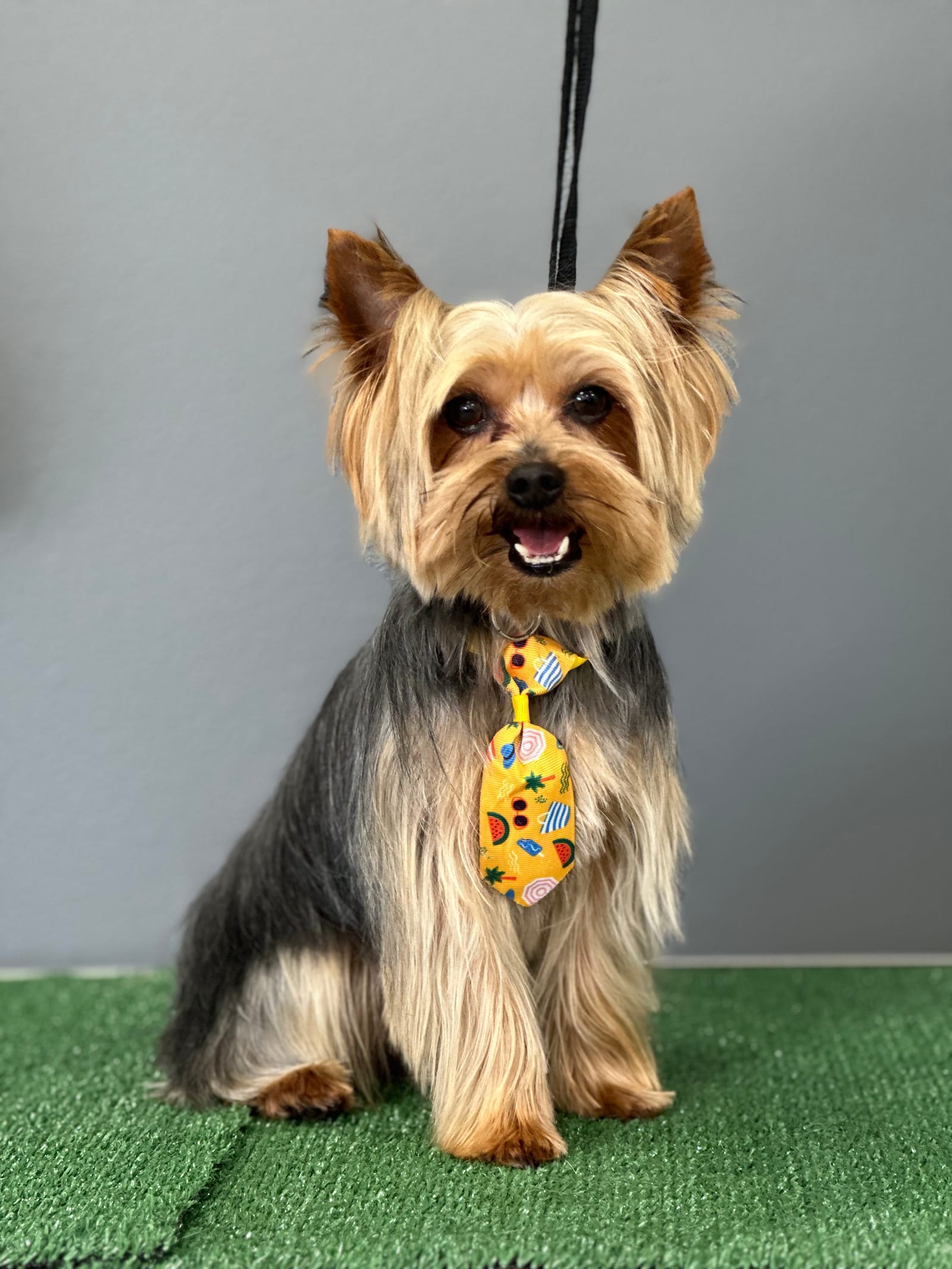 Groomed & Captured
