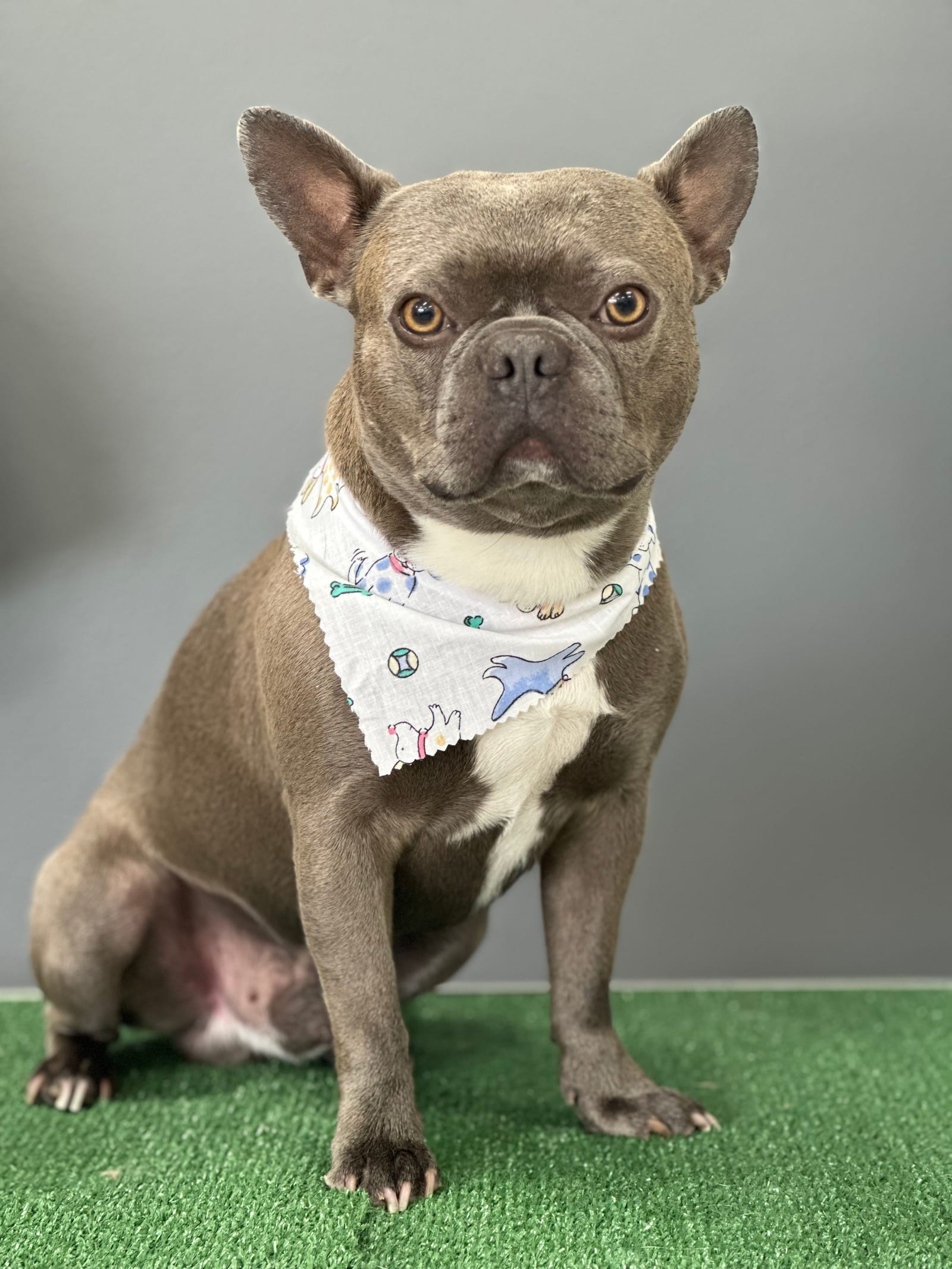 Groomed & Captured