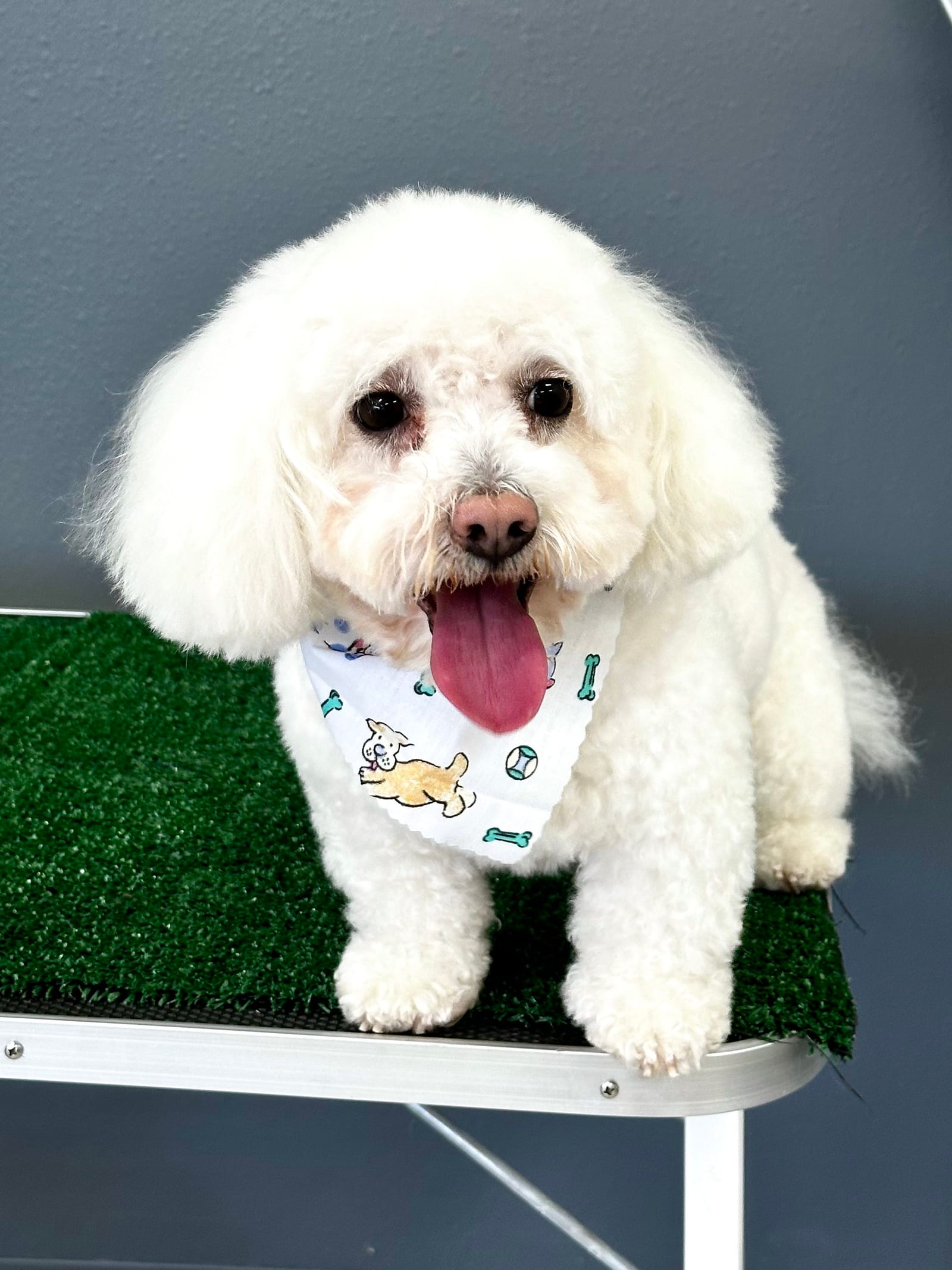 Groomed & Captured