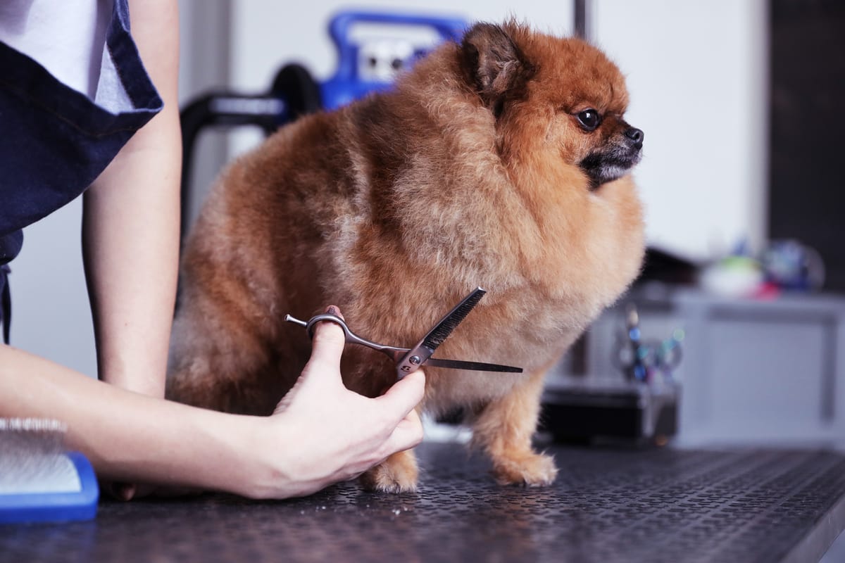 Grooming