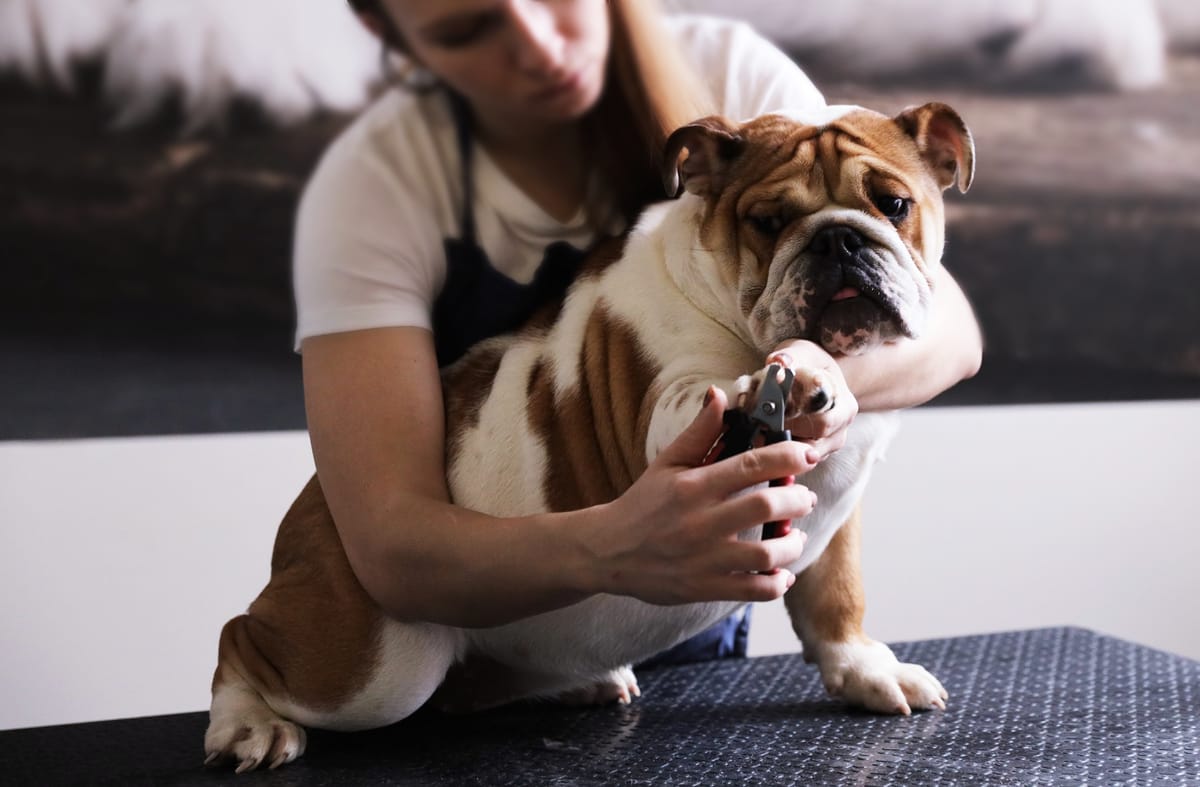 Nail Clipping